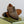 Laden Sie das Bild in den Galerie-Viewer, Berwick 1707 Suede Toe Cap Oxford Foresta
