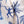 Laden Sie das Bild in den Galerie-Viewer, Universal Works Jungle Toile Poplin Camp Shirt White

